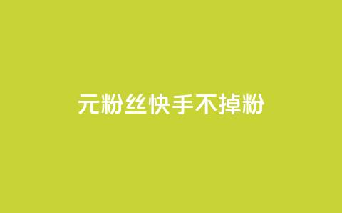 1元3000粉丝快手不掉粉 - 1元在快手增加3000粉丝，轻松不流失!  第1张