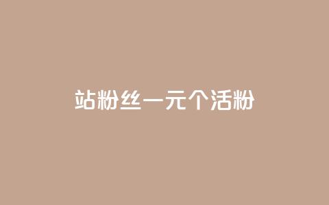 b站粉丝一元1000个活粉 - 如何在B站获得1000个活跃粉丝，仅需1元~ 第1张