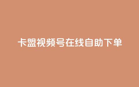 卡盟视频号在线自助下单 - 卡盟视频号在线下单，简单方便，让你实现视频推广新突破!  第1张