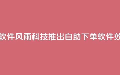 风雨科技自助下单软件 - 风雨科技推出自助下单软件,效率提升不止!~ 第1张 风雨科技自助下单软件 - 风雨科技推出自助下单软件,效率提升不止!~ 第1张