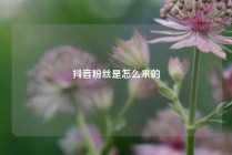 抖音粉丝是怎么来的