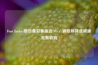 Foot Locker股价盘后暴涨近70%，消息称其或被迪克斯收购
