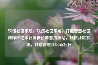玖伍社区系统，玖伍社区系统，打造智慧社区新标杆亿乐社区低价自营货源站，玖伍社区系统，打造智慧社区新标杆