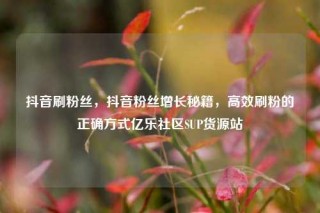 抖音刷粉丝，抖音粉丝增长秘籍，高效刷粉的正确方式亿乐社区SUP货源站
