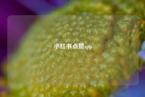 小红书点赞app