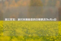 浙江世宝：派付末期股息的日期更改为6月16日