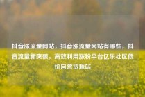抖音涨流量网站，抖音涨流量网站有哪些，抖音流量新突破，高效利用涨粉平台亿乐社区低价自营货源站