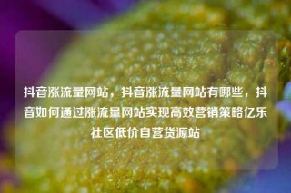 抖音涨流量网站，抖音涨流量网站有哪些，抖音如何通过涨流量网站实现高效营销策略亿乐社区低价自营货源站
