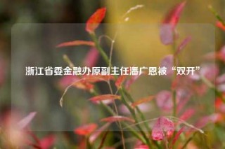 浙江省委金融办原副主任潘广恩被“双开”