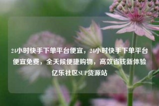 24小时快手下单平台便宜，24小时快手下单平台便宜免费，全天候便捷购物，高效省钱新体验亿乐社区SUP货源站