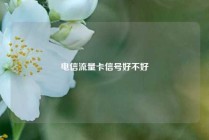 电信流量卡信号好不好