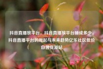 抖音直播放平台，抖音直播放平台抽成多少，抖音直播平台的崛起与未来趋势亿乐社区低价自营货源站