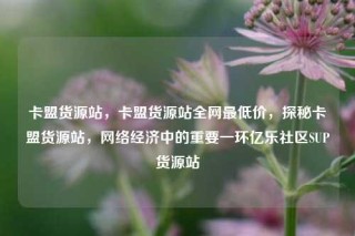 卡盟货源站，卡盟货源站全网最低价，探秘卡盟货源站，网络经济中的重要一环亿乐社区SUP货源站