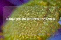 商务部：中方敦促美方尽快停止232关税措施