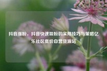 抖音涨粉，抖音快速吸粉的实用技巧与策略亿乐社区低价自营货源站