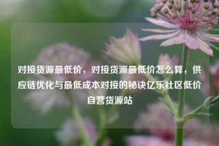 对接货源最低价，对接货源最低价怎么算，供应链优化与最低成本对接的秘诀亿乐社区低价自营货源站