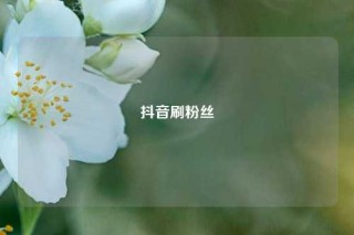 抖音刷粉丝