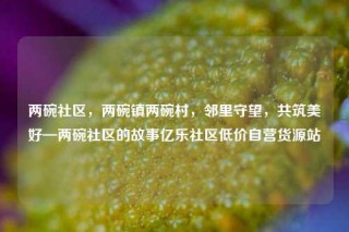 两碗社区，两碗镇两碗村，邻里守望，共筑美好—两碗社区的故事亿乐社区低价自营货源站