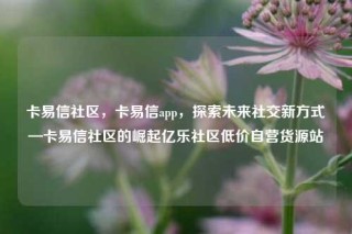 卡易信社区，卡易信app，探索未来社交新方式—卡易信社区的崛起亿乐社区低价自营货源站