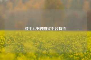 快手24小时购买平台特价