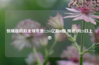 恒瑞医药拟全球发售2.245亿股H股 预计5月23日上市