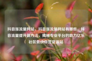 抖音涨流量网站，抖音涨流量网站有哪些，抖音流量提升新方法，揭秘专业平台的助力亿乐社区低价自营货源站