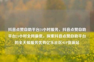 抖音点赞自助平台24小时服务，抖音点赞自助平台24小时全网最低，探索抖音点赞自助平台的全天候服务优势亿乐社区SUP货源站
