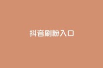 抖音刷1000粉入口,ks免费业务平台软件 - 抖音自助商城 - 抖音业务下单24小时最低价