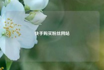 快手购买粉丝网站