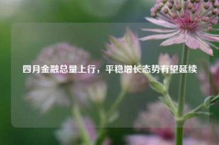 四月金融总量上行，平稳增长态势有望延续