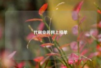 代刷业务网上接单