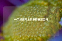 一手货源网上的东西是正品吗