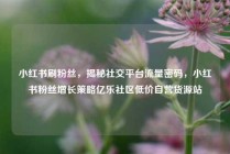 小红书刷粉丝，揭秘社交平台流量密码，小红书粉丝增长策略亿乐社区低价自营货源站