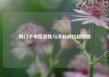 西门子季度销售与净利润均超预期