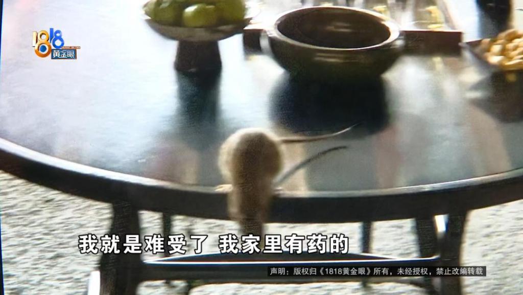 吃完饭一出包厢被大老鼠吓坏了	，当事人：退一赔十  第5张
