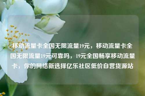 移动流量卡全国无限流量19元，移动流量卡全国无限流量19元可靠吗	，19元全国畅享移动流量卡，你的网络新选择亿乐社区低价自营货源站  第1张