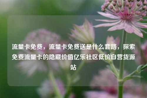 流量卡免费	，流量卡免费送是什么套路，探索免费流量卡的隐藏价值亿乐社区低价自营货源站  第1张