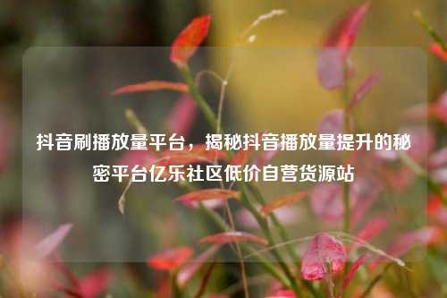 抖音刷播放量平台，揭秘抖音播放量提升的秘密平台亿乐社区低价自营货源站  第1张