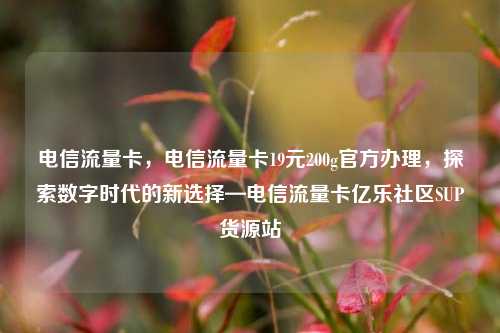 电信流量卡，电信流量卡19元200g官方办理，探索数字时代的新选择—电信流量卡亿乐社区SUP货源站  第1张