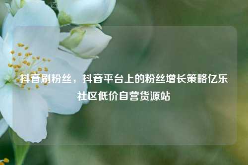抖音刷粉丝，抖音平台上的粉丝增长策略亿乐社区低价自营货源站  第1张