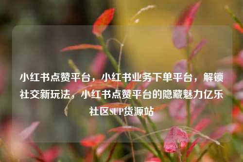 小红书点赞平台，小红书业务下单平台，解锁社交新玩法，小红书点赞平台的隐藏魅力亿乐社区SUP货源站  第1张