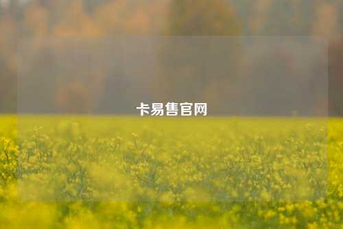 卡易售官网  第1张