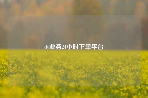 dy业务24小时下单平台  第1张