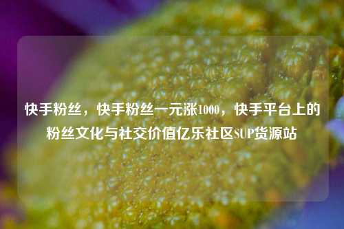 快手粉丝，快手粉丝一元涨1000	，快手平台上的粉丝文化与社交价值亿乐社区SUP货源站  第1张