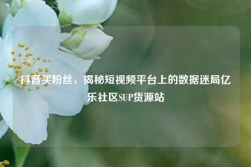 抖音买粉丝	，揭秘短视频平台上的数据迷局亿乐社区SUP货源站  第1张