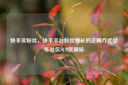 快手买粉丝，快手平台粉丝增长的正确方式亿乐社区SUP货源站  第1张