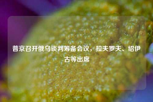普京召开俄乌谈判筹备会议	，拉夫罗夫、绍伊古等出席  第1张