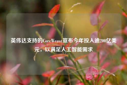 英伟达支持的CoreWeave宣布今年投入逾200亿美元，以满足人工智能需求  第1张