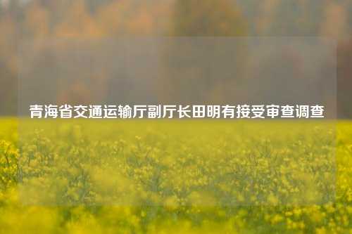 青海省交通运输厅副厅长田明有接受审查调查  第1张