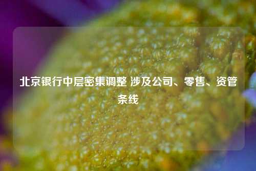 北京银行中层密集调整 涉及公司、零售、资管条线  第1张